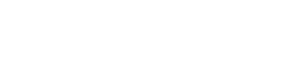 Morningside University Mustangs